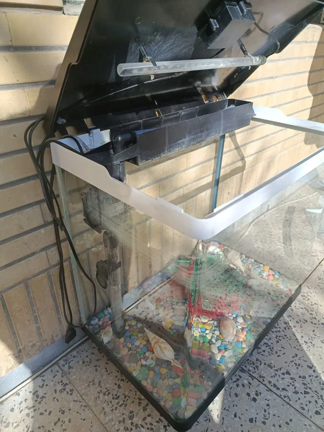 اکواریوم شیشه خم برند دلسا|ماهی|شاهینشهر, شهرک ردانی پور|دیوار