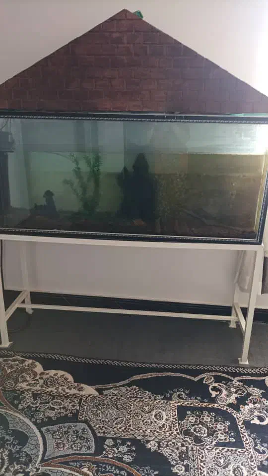 آکواریوم باتمام وسایل|ماهی|امیدیه, |دیوار