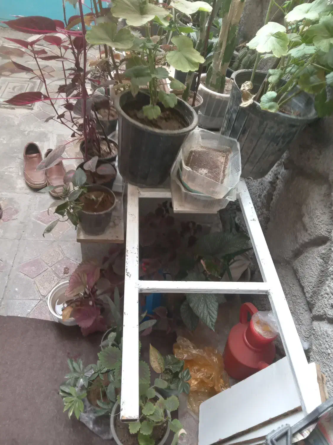 نردبان|ابزارآلات|تبریز, |دیوار