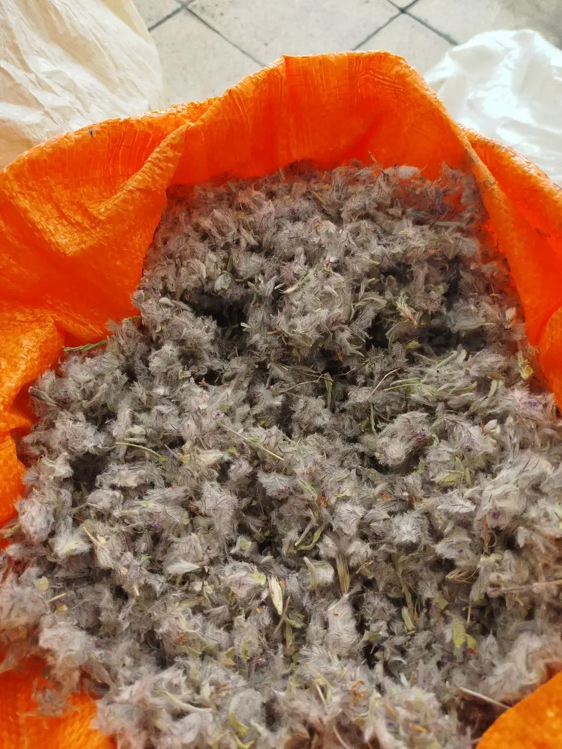 چای کوهی|خوردنی و آشامیدنی|اسلام‌شهر, شهرک سعیدیه|دیوار