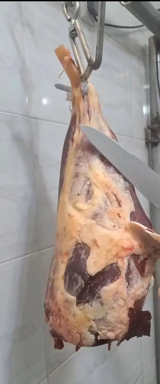 راهنمایی کنید|فعالیت داوطلبانه|گرگان, |دیوار