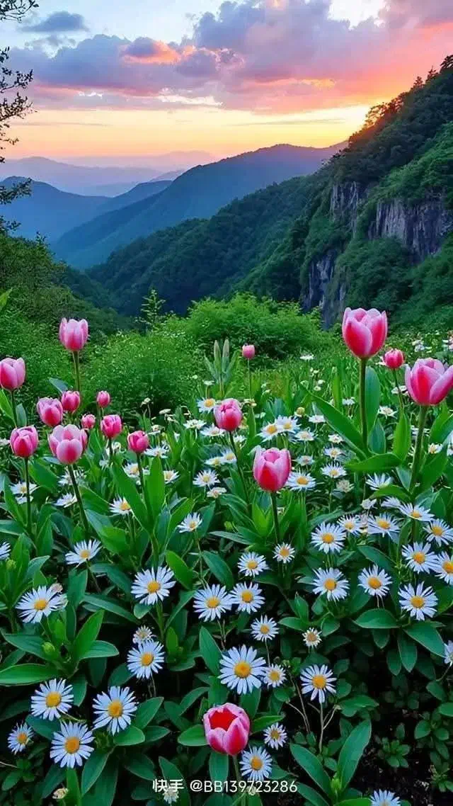 کمک به کنترل وزن با طبع|فعالیت داوطلبانه|قائن, |دیوار