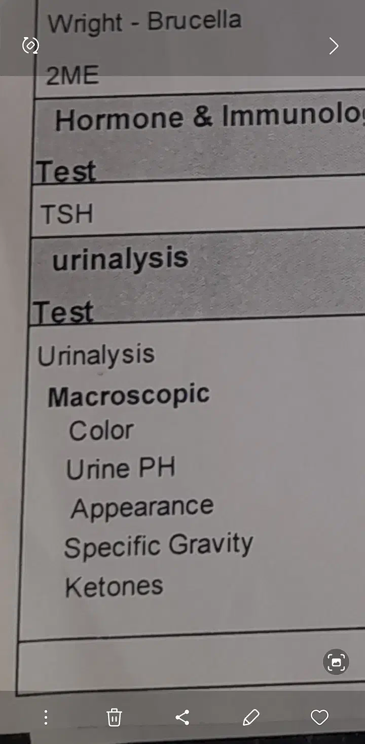گم شده در فسا|اشیا|فسا, |دیوار