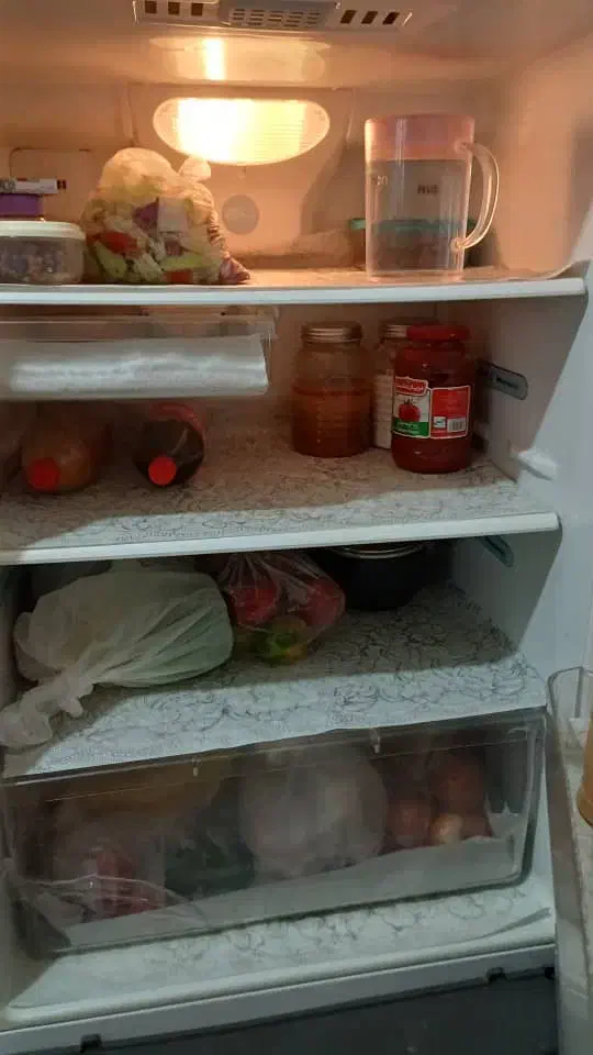 یخچال دوو|یخچال و فریزر|تهران, شکوفه (عبدل آباد)|دیوار