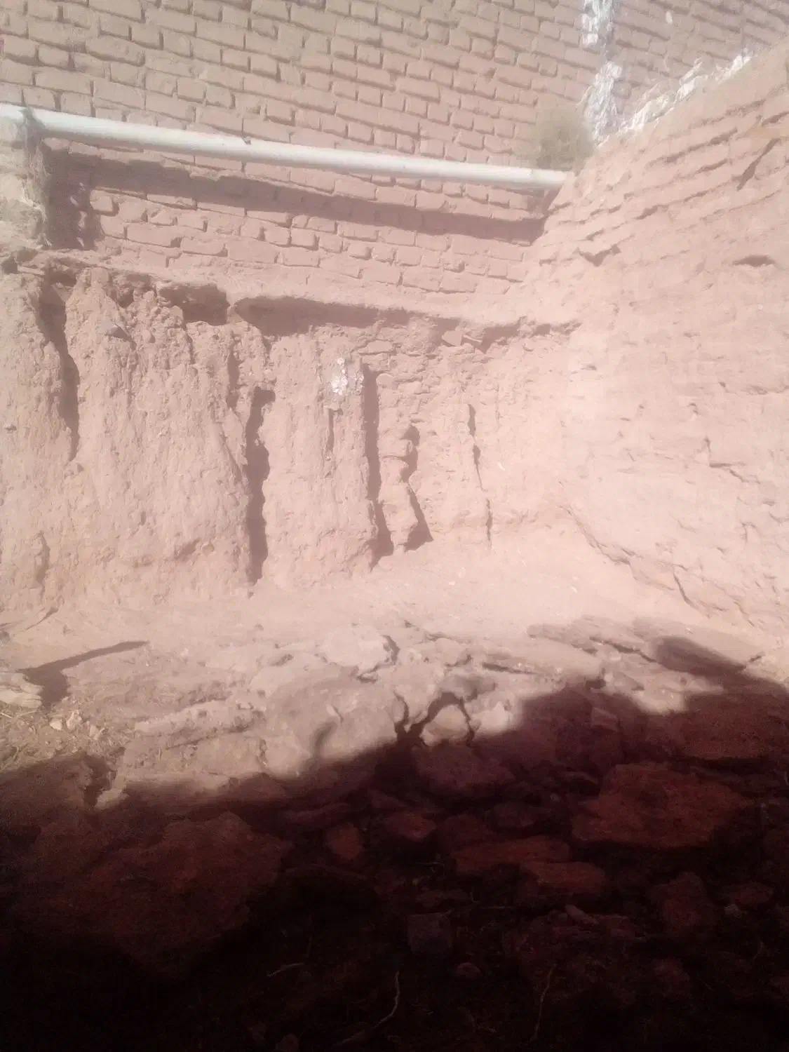 کود گاوی|خدمات باغبانی و درختکاری|قائن, |دیوار