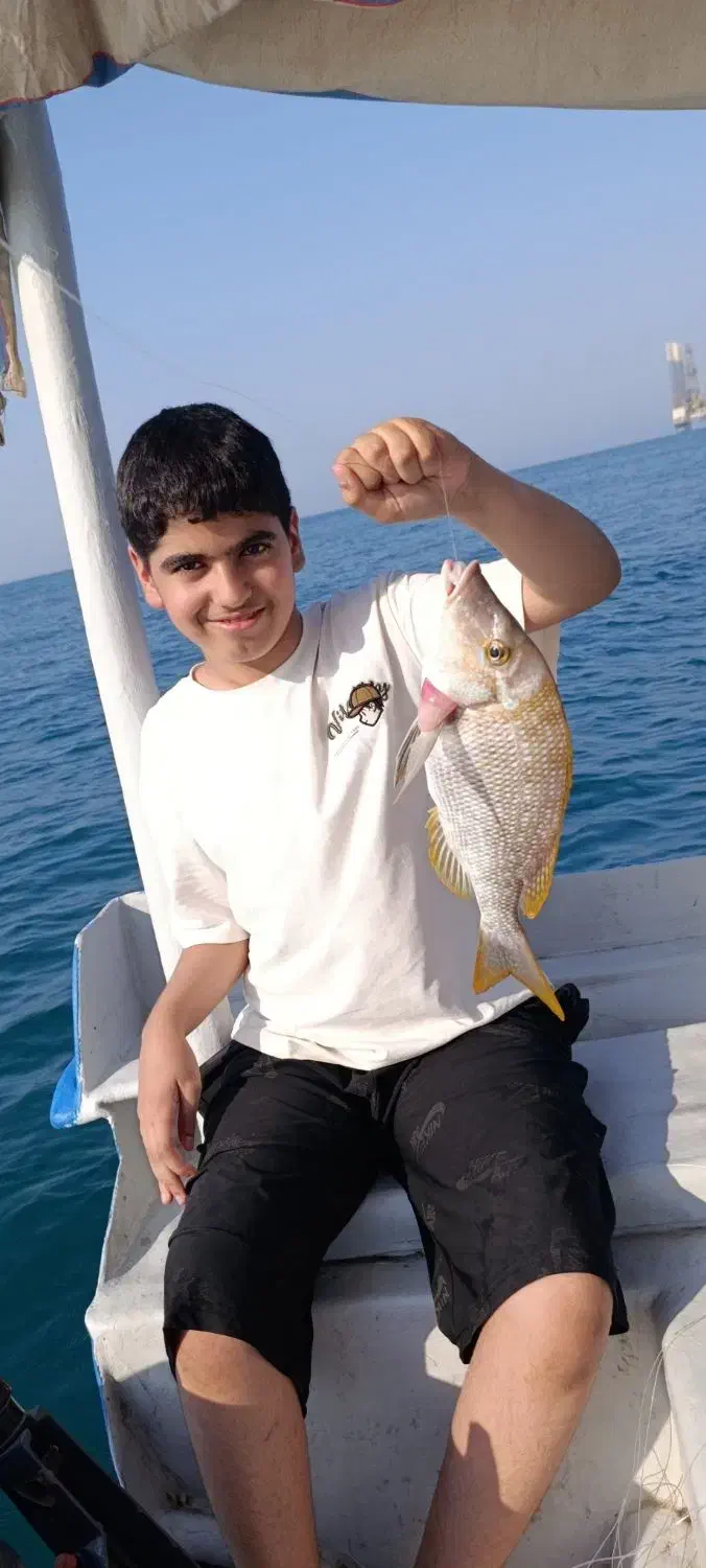 تور تفریحی ماهیگیری|تور و چارتر|قشم, |دیوار