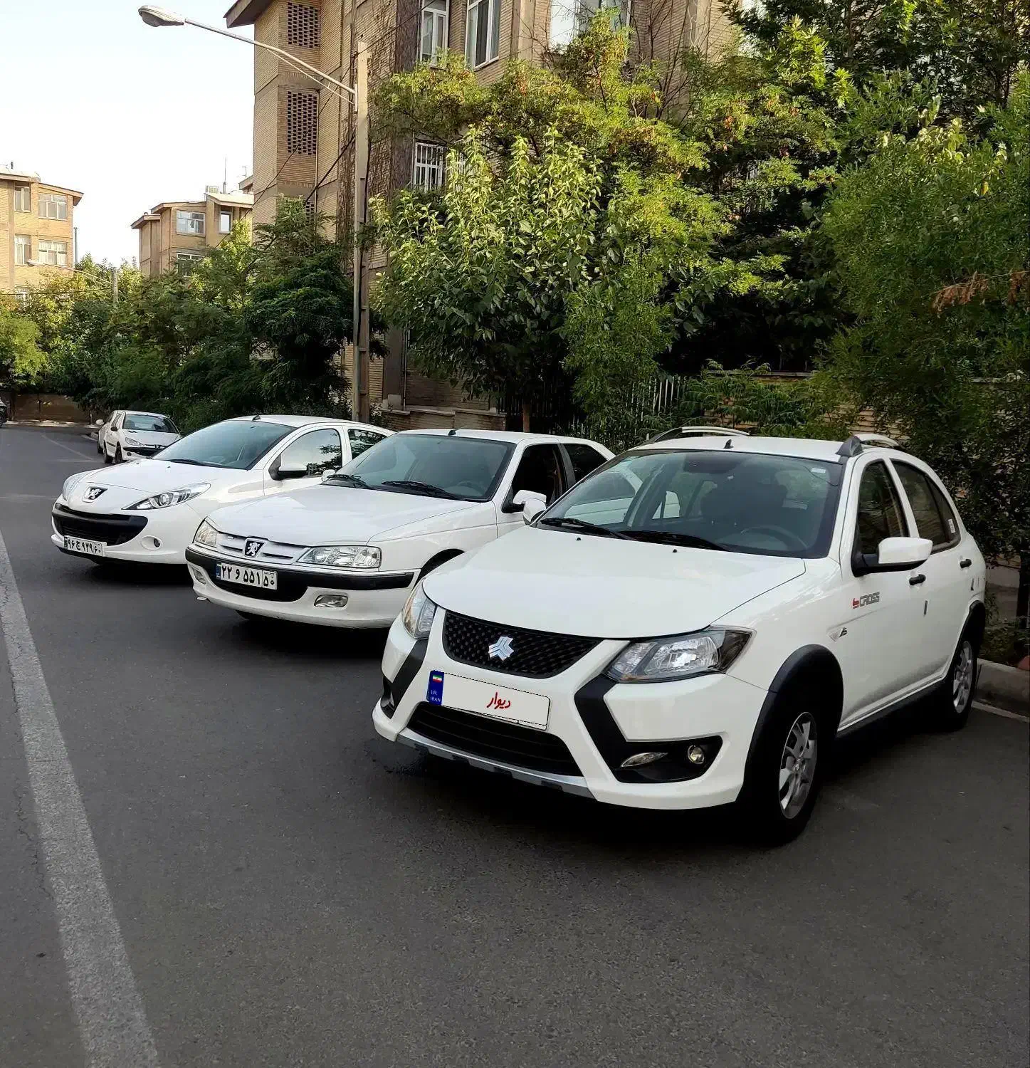 پژو پارس  اجاره خودرو های ایرانی|خودرو اجاره‌ای|تهران, میدان ولیعصر|دیوار