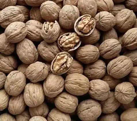 گردو پوست‌کاغذی ایرانی اعلاء عمده|خوردنی و آشامیدنی|قم, حاج خلیل|دیوار