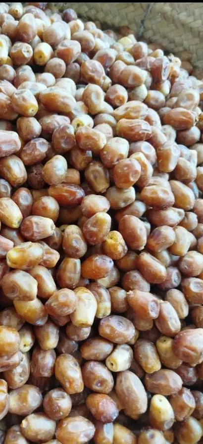 خرمای زاهدی(قصبک)|خوردنی و آشامیدنی|شیراز, شهرک گلستان|دیوار