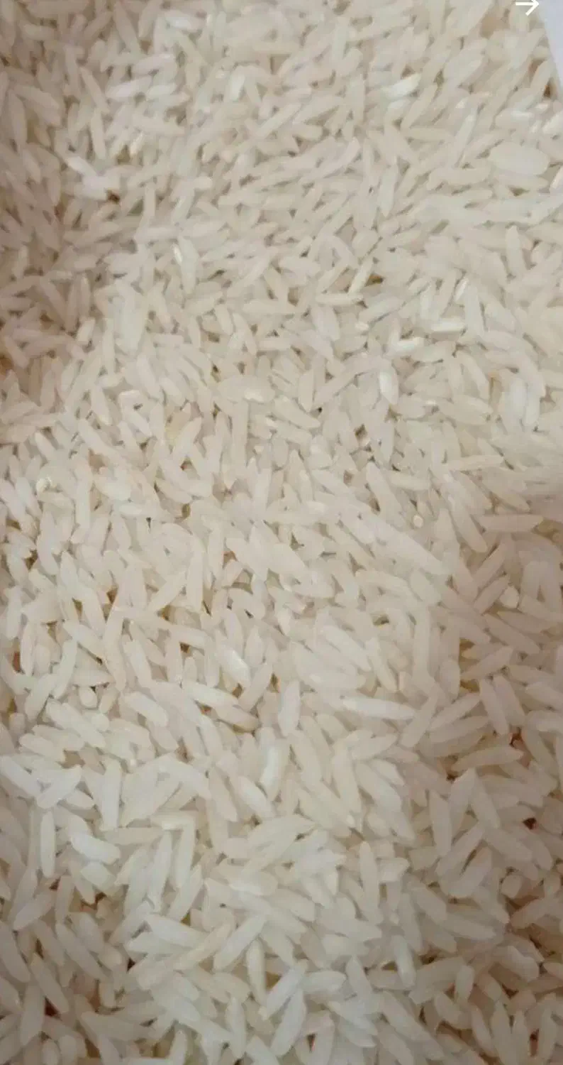 برنج کشت دوم پخت عالی|خوردنی و آشامیدنی|بابلسر, |دیوار