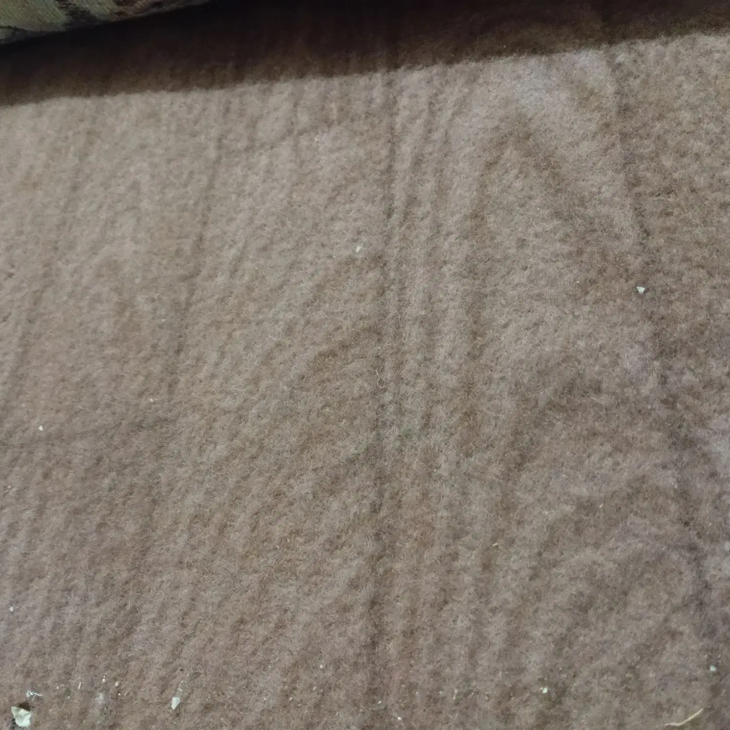 20 متر موکت در حد نو بفروش میرسد|موکت|سمنان, |دیوار