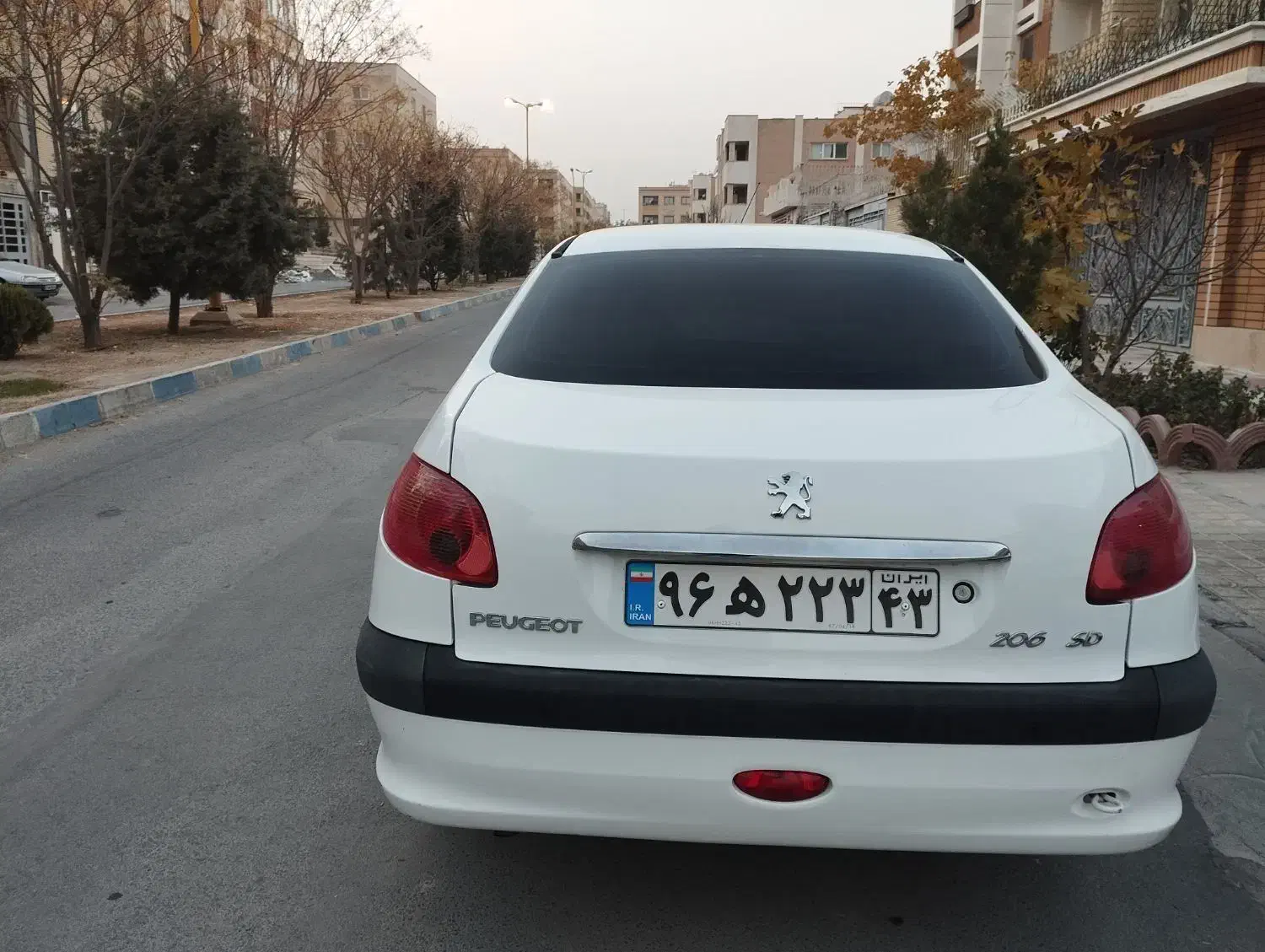 206SD موتور V8 مدل 94|خودرو سواری و وانت|فولادشهر, C3|دیوار