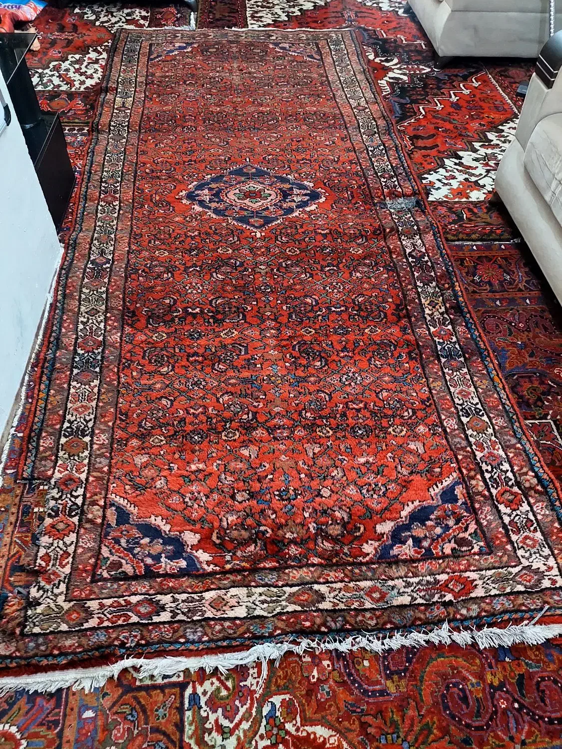 فرش  دستبافت|فرش|تبریز, |دیوار