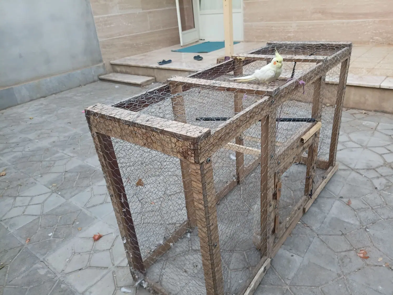 قفس|لوازم جانبی حیوانات|بجنورد, |دیوار