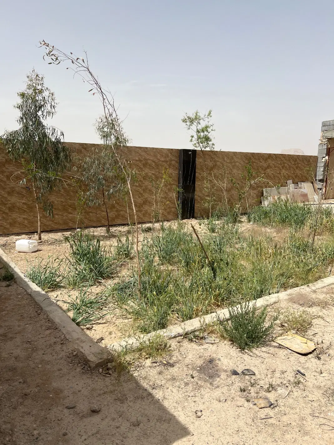 باغ نیمه کاره - Widok 2