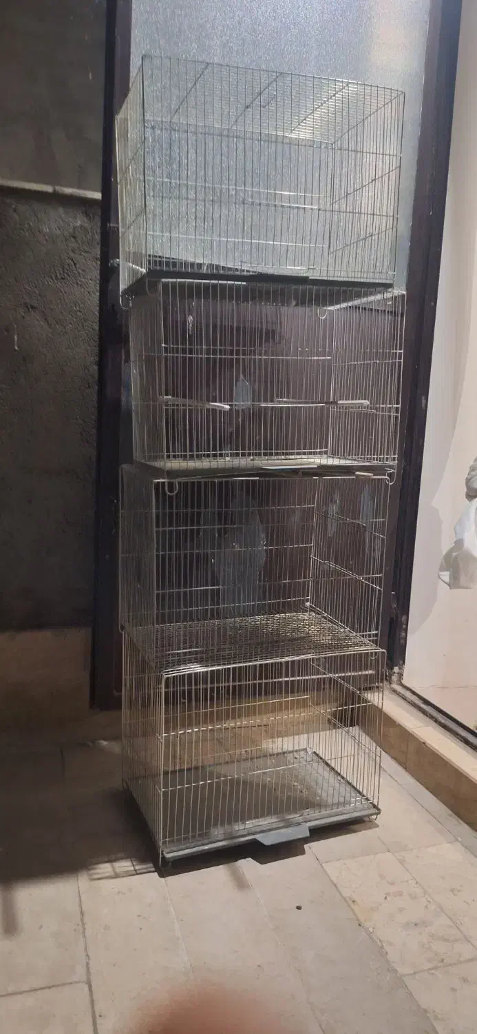 قفس نو|لوازم جانبی حیوانات|قم, شهرک فاطمیه|دیوار
