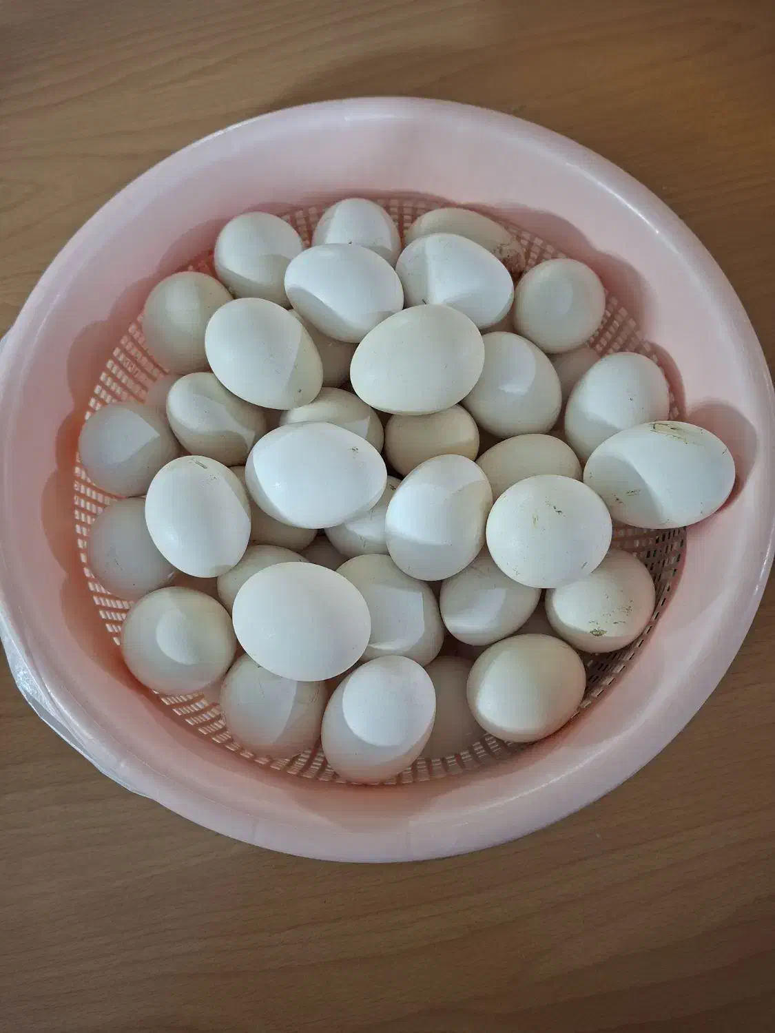 تخم مرغ بومی|خوردنی و آشامیدنی|اصفهان, مرداویج|دیوار