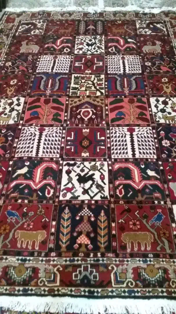 6متری بختیاری|فرش|اصفهان, برازنده|دیوار