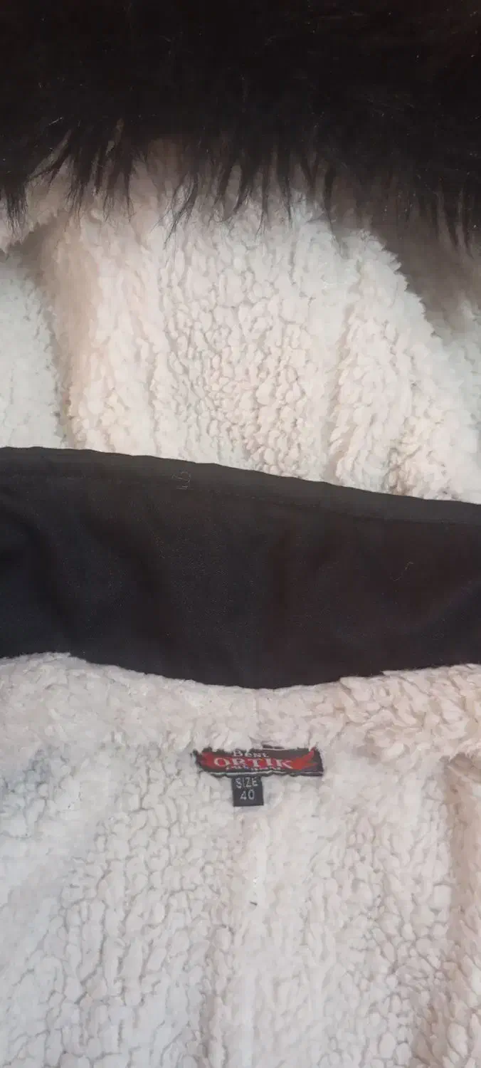 کاپشن نو نو|لباس|ملایر, |دیوار