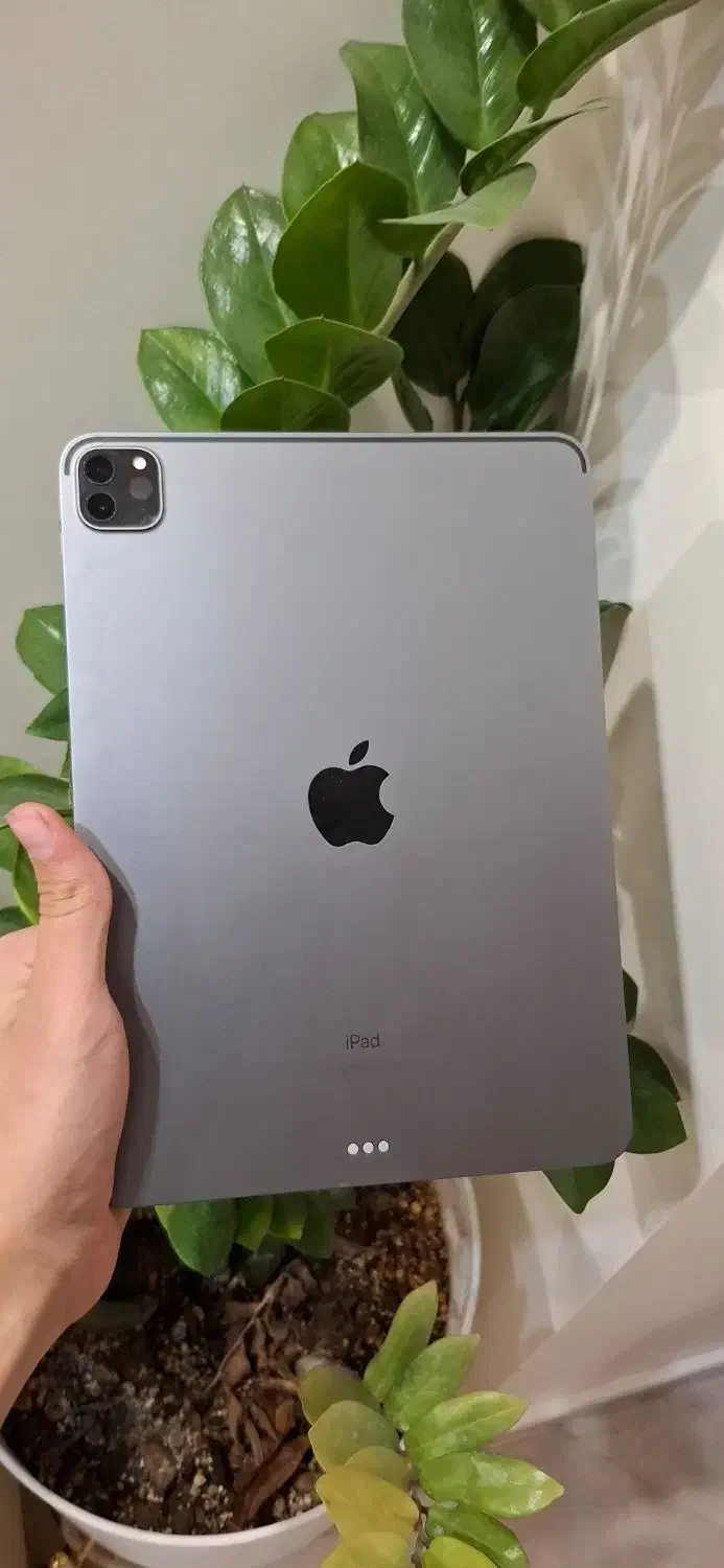 ایپد پرو m1|تبلت|تهران, باغ فردوس|دیوار