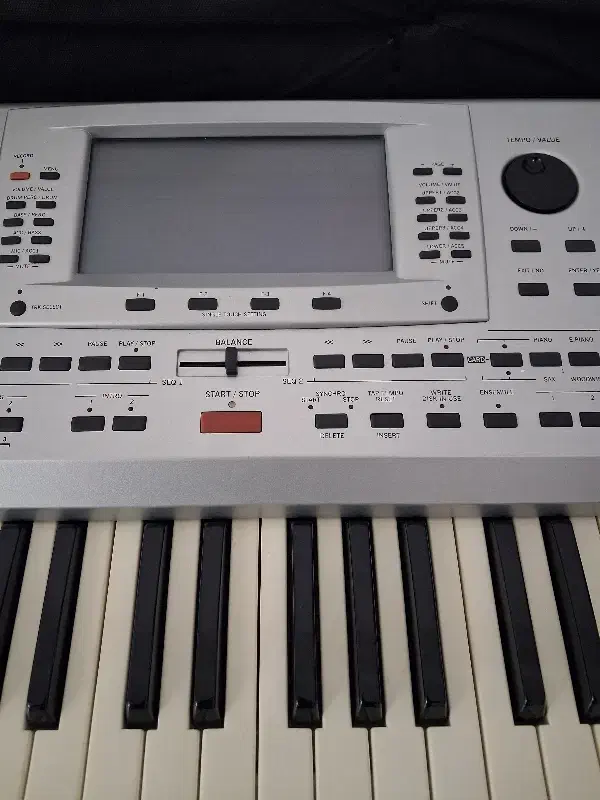 ارگ pa80|پیانو، کیبورد، آکاردئون|چوبر, |دیوار