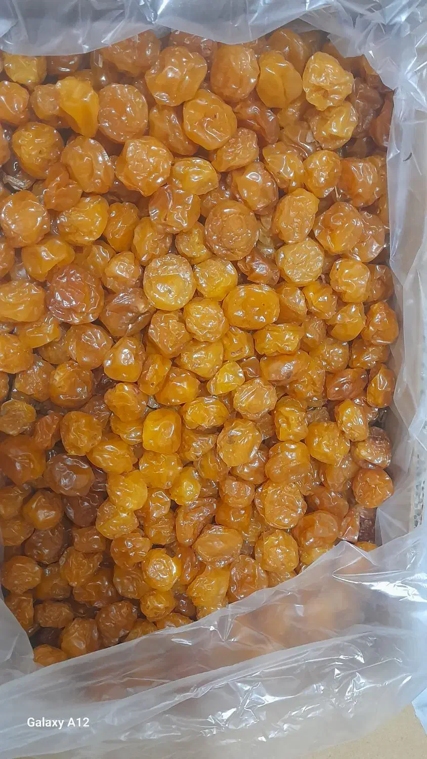 آلو تخمه بادام زمینی با بالاترین کیفیت|خوردنی و آشامیدنی|کاشان, شهدا|دیوار