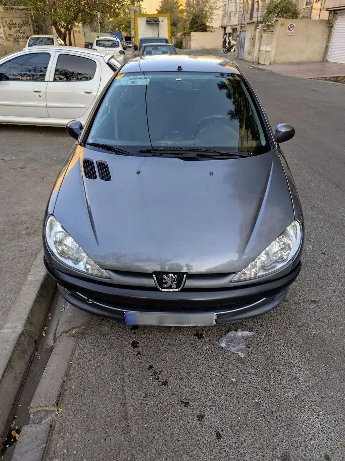 206 sd بی رنگ|خودرو سواری و وانت|فردیس, شهرک ارم|دیوار