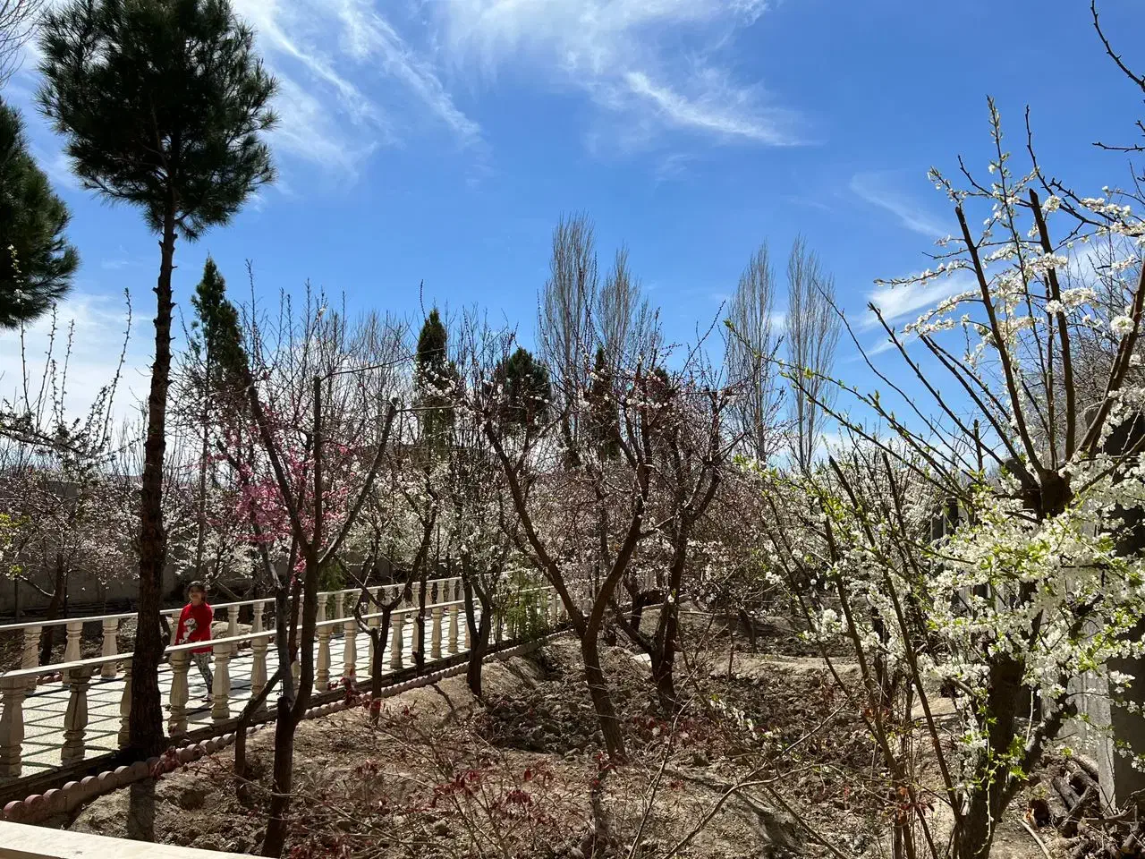 سرایدار تمام وقت برای باغ شخصی شهریار|استخدام سرایداری و نظافت|شهریار, بکه|دیوار