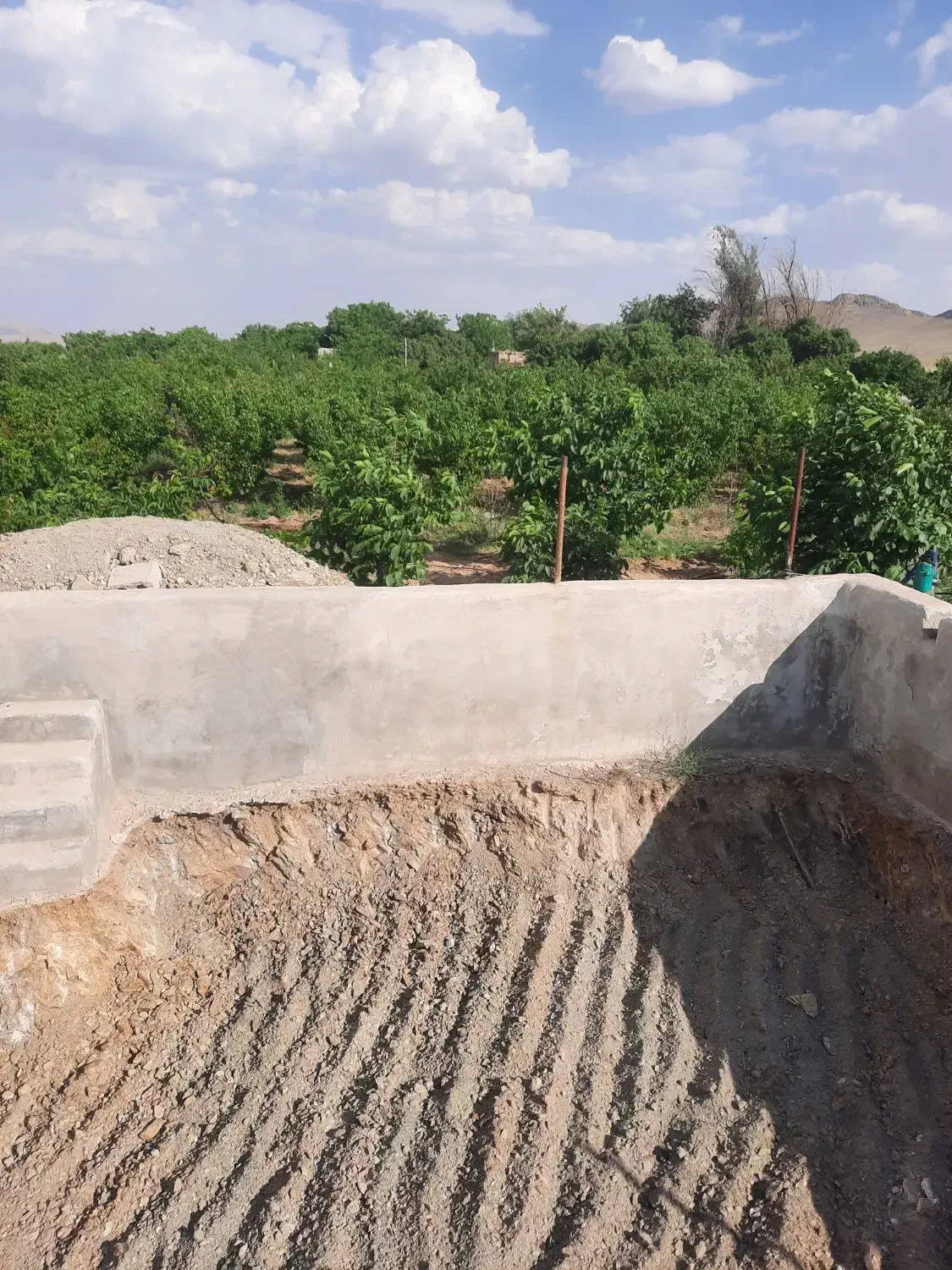 زمین با مجوز گلخانه|فروش دفتر صنعتی، کشاورزی، تجاری|تیران, |دیوار