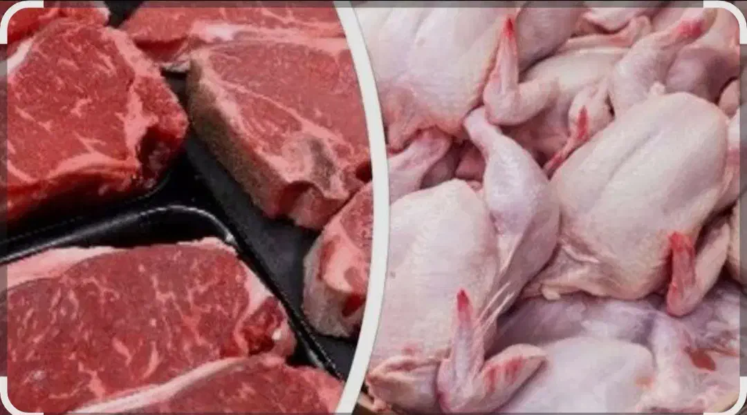 پخش مرغ منجمد بی واسطه،درب سردخانه|خوردنی و آشامیدنی|تهران, جوادیه|دیوار