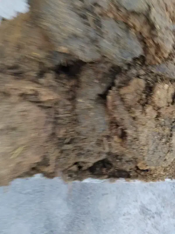 کود|لوازم جانبی حیوانات|خمین, |دیوار