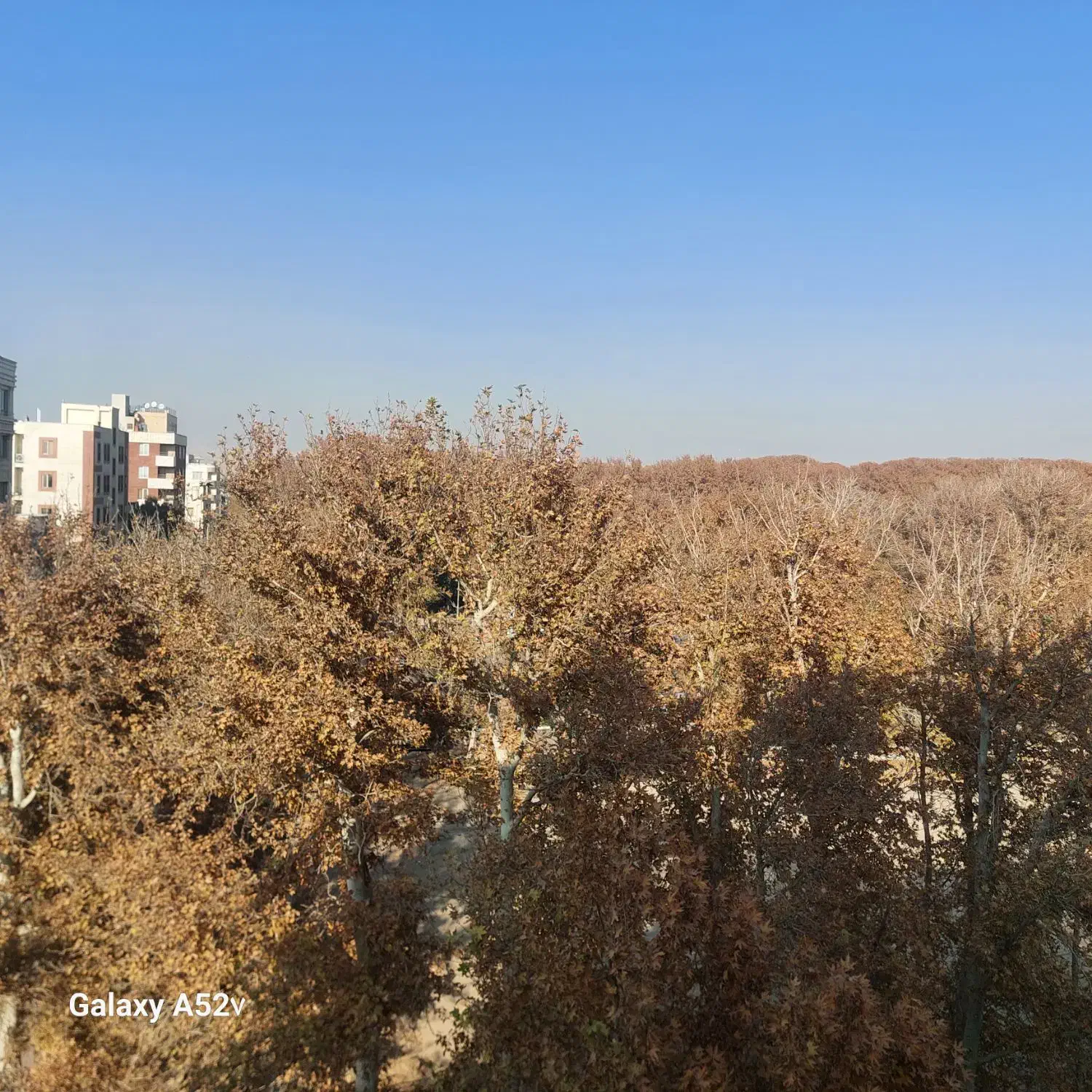 واحد سنددار/نوساز /تک واحدی|فروش آپارتمان|ماهدشت, |دیوار