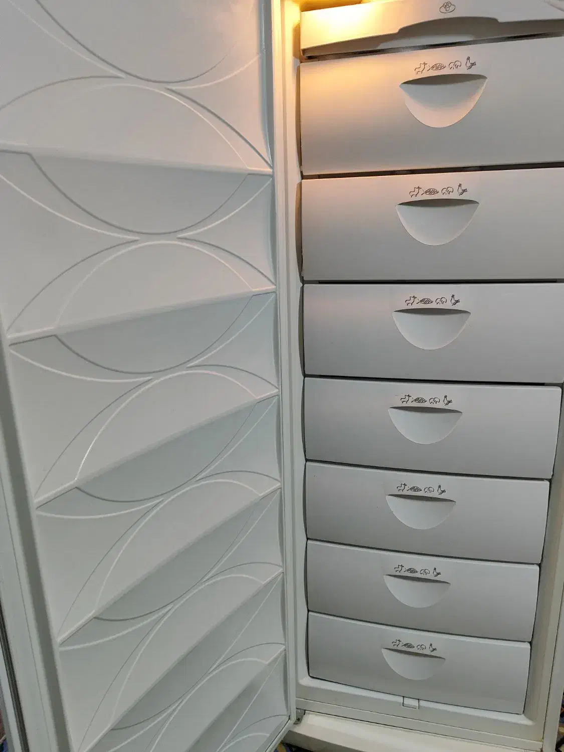 فریزر|یخچال و فریزر|مرودشت, بهارستان|دیوار