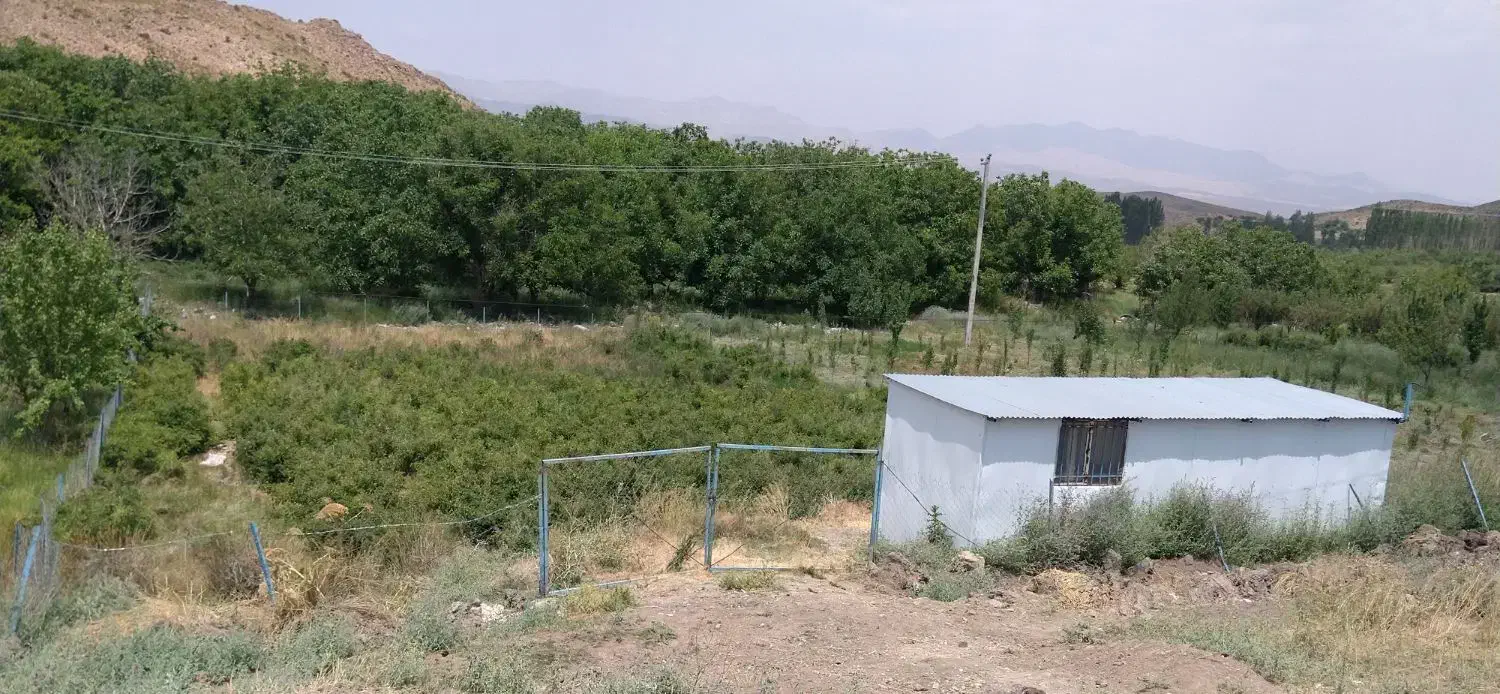 باغ گل محمدی|فروش دفتر صنعتی، کشاورزی، تجاری|لاله زار, |دیوار