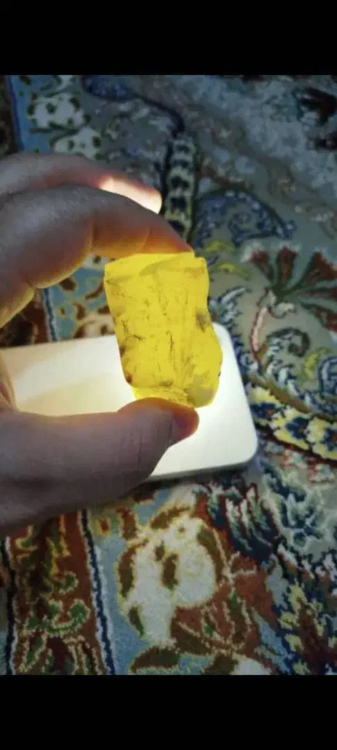 سنگ شجر دریایی|کلکسیون اشیاء عتیقه|تهران, شهرک طالقانی|دیوار