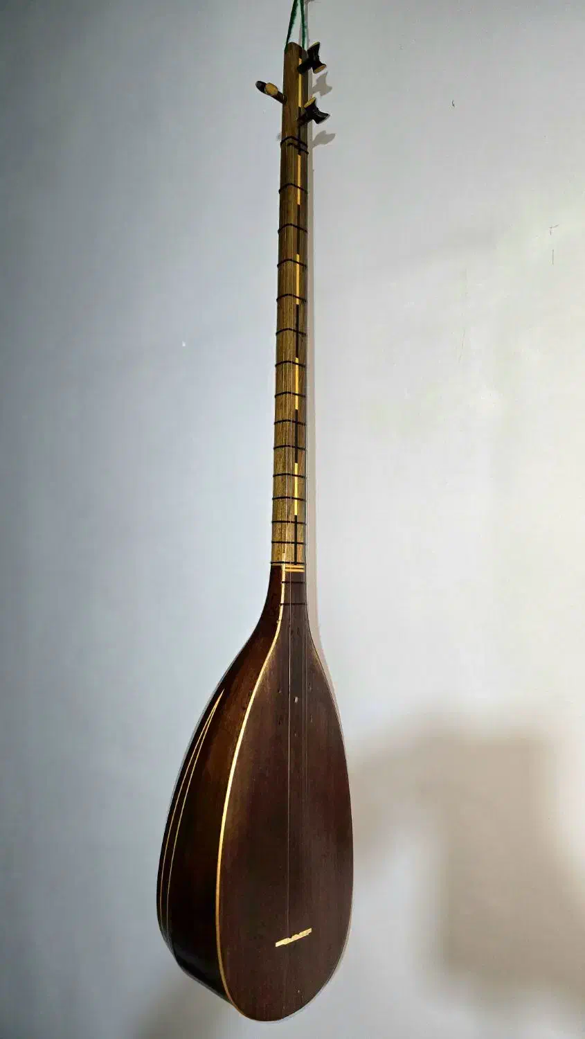 تنبور مهر تاک|سازهای سنتی|تهران, بهارستان|دیوار