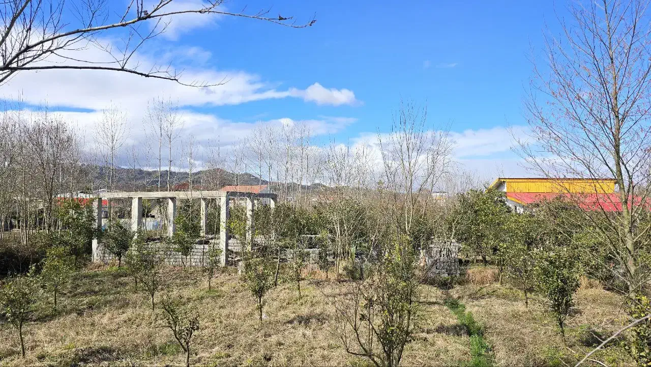 1100 متری تماما مسکونی|فروش زمین و ملک کلنگی|رانکوه, |دیوار