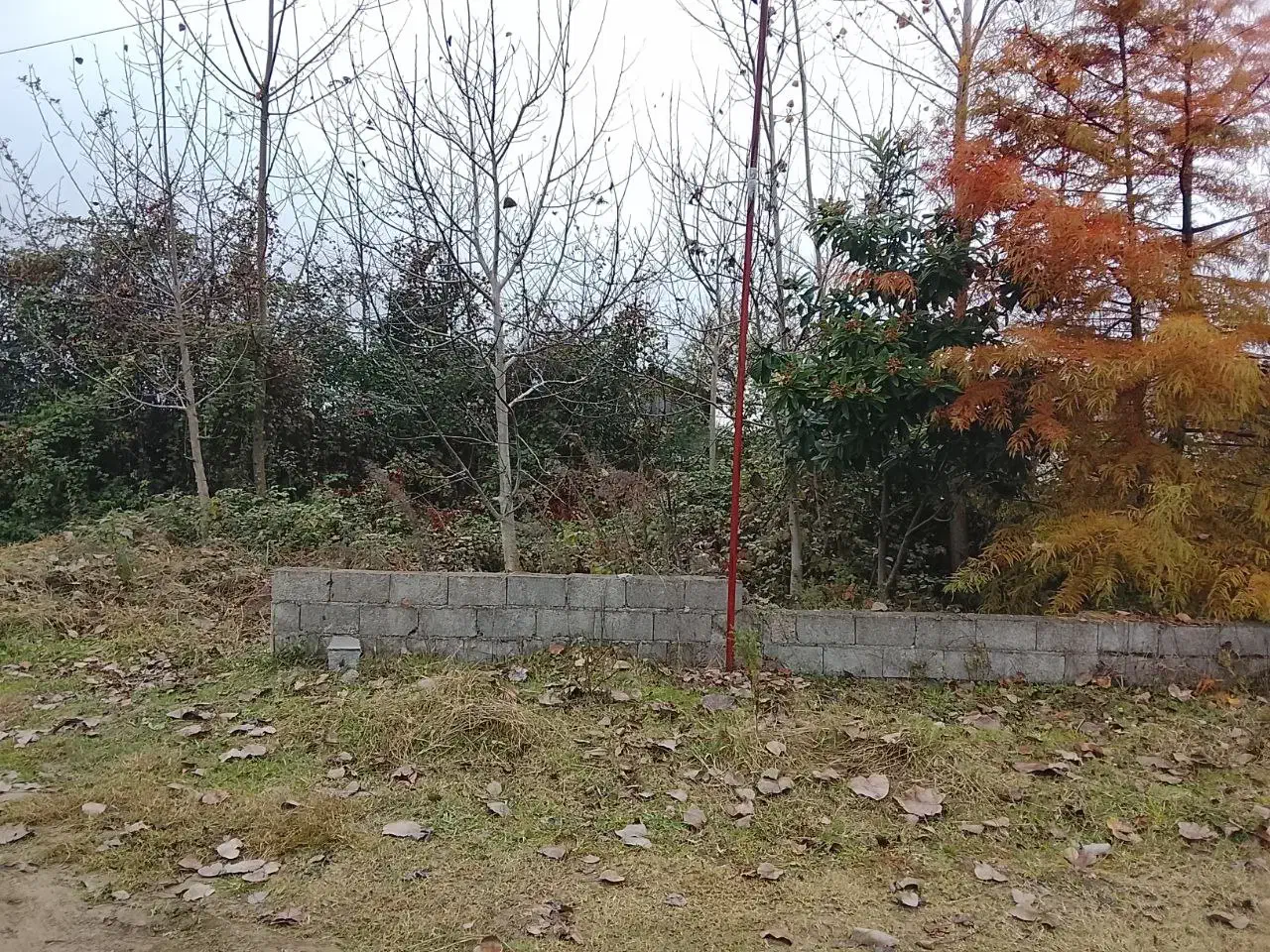 فروش زمین شهری سند تک برگ متری۷/۵۰۰|فروش زمین و ملک کلنگی|رضوانشهر, |دیوار