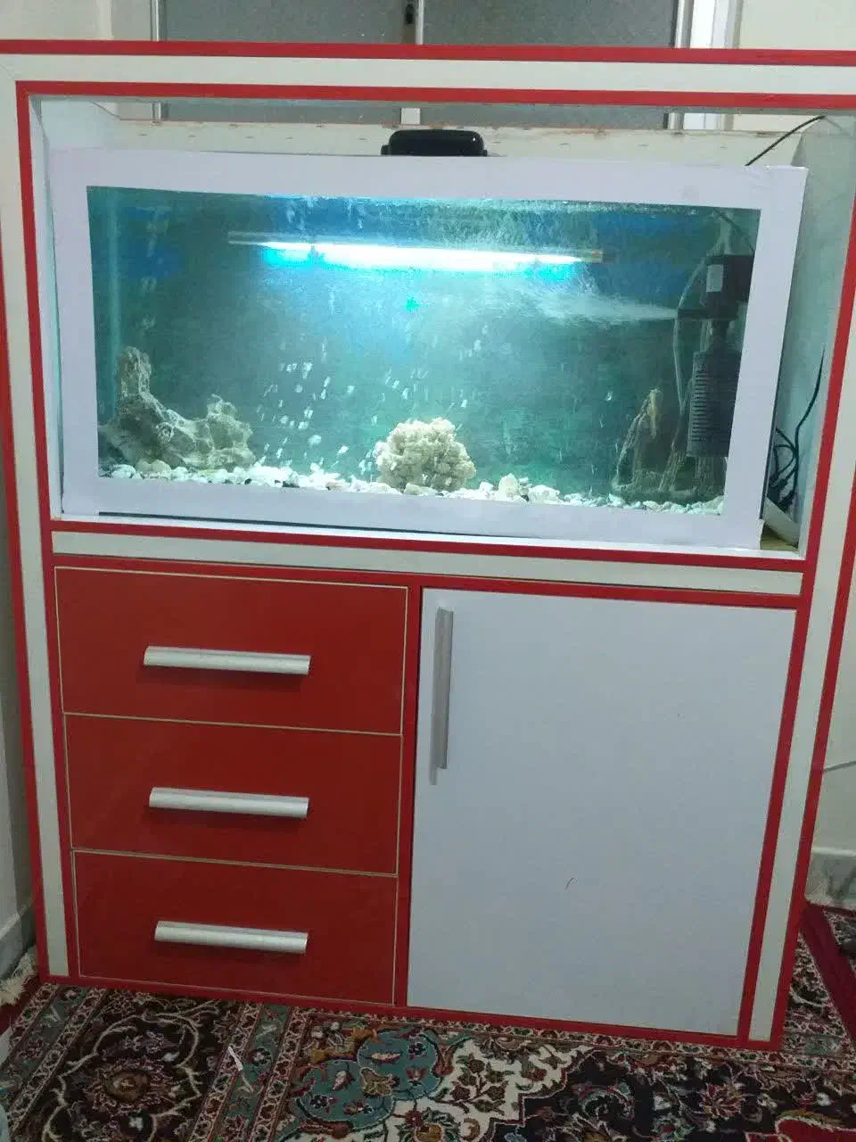 اکواریوم با باکس معاوضه با پرنده|ماهی|کاشان, شهرک ۲۲ بهمن|دیوار