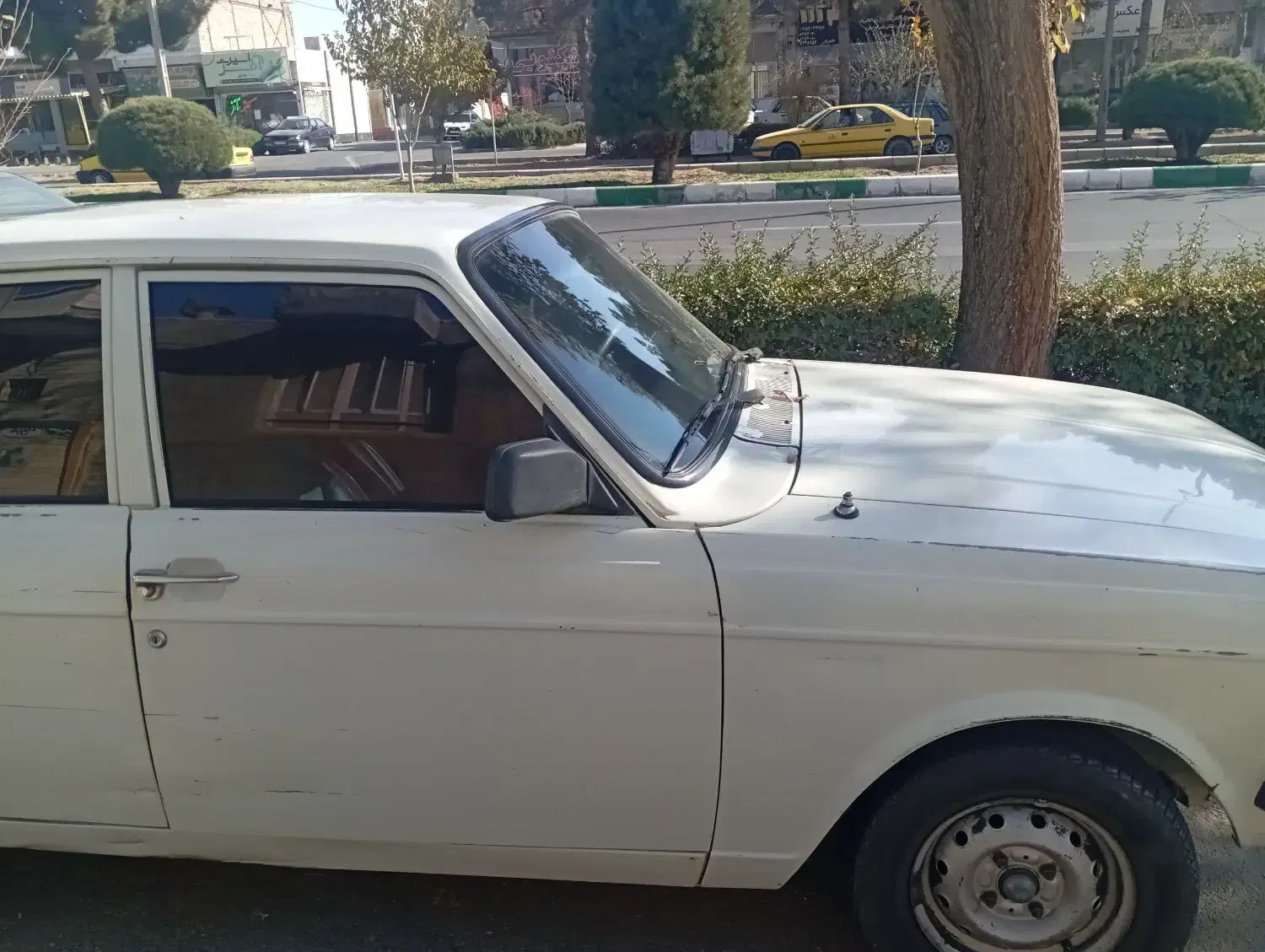 پیکان مدل 81|خودرو سواری و وانت|کاشمر, |دیوار