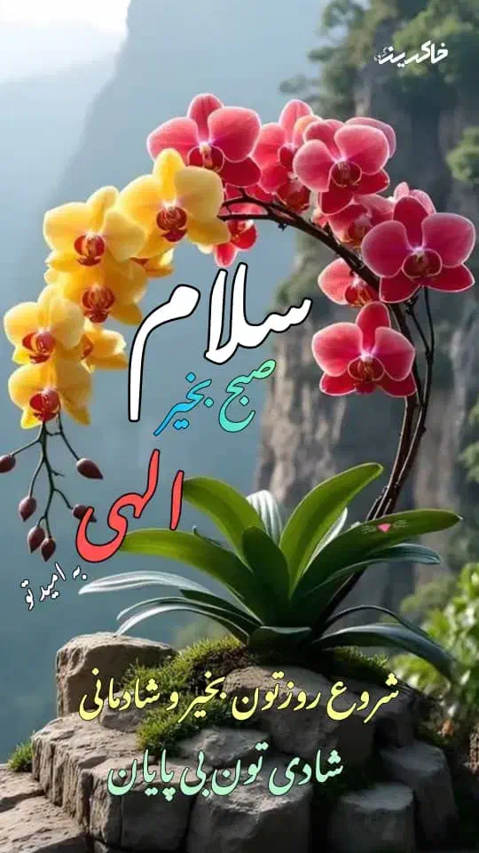 خط ۹۲۱ اعتباری قدیمی|سیم‌کارت|کازرون, |دیوار