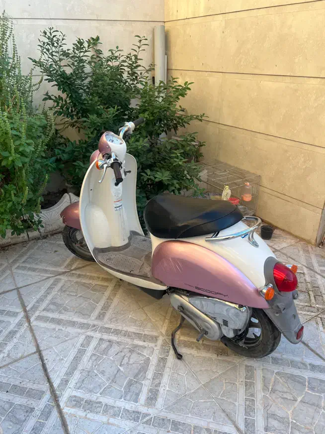 اسکوپی|موتورسیکلت|بندر گناوه, |دیوار