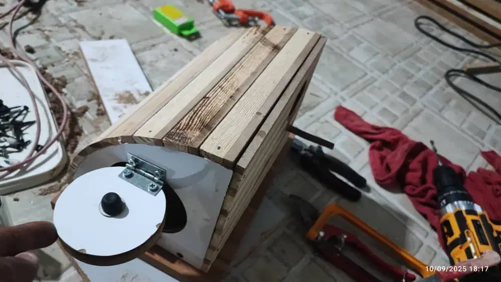 لونه پرنده میناب|لوازم جانبی حیوانات|میناب, |دیوار