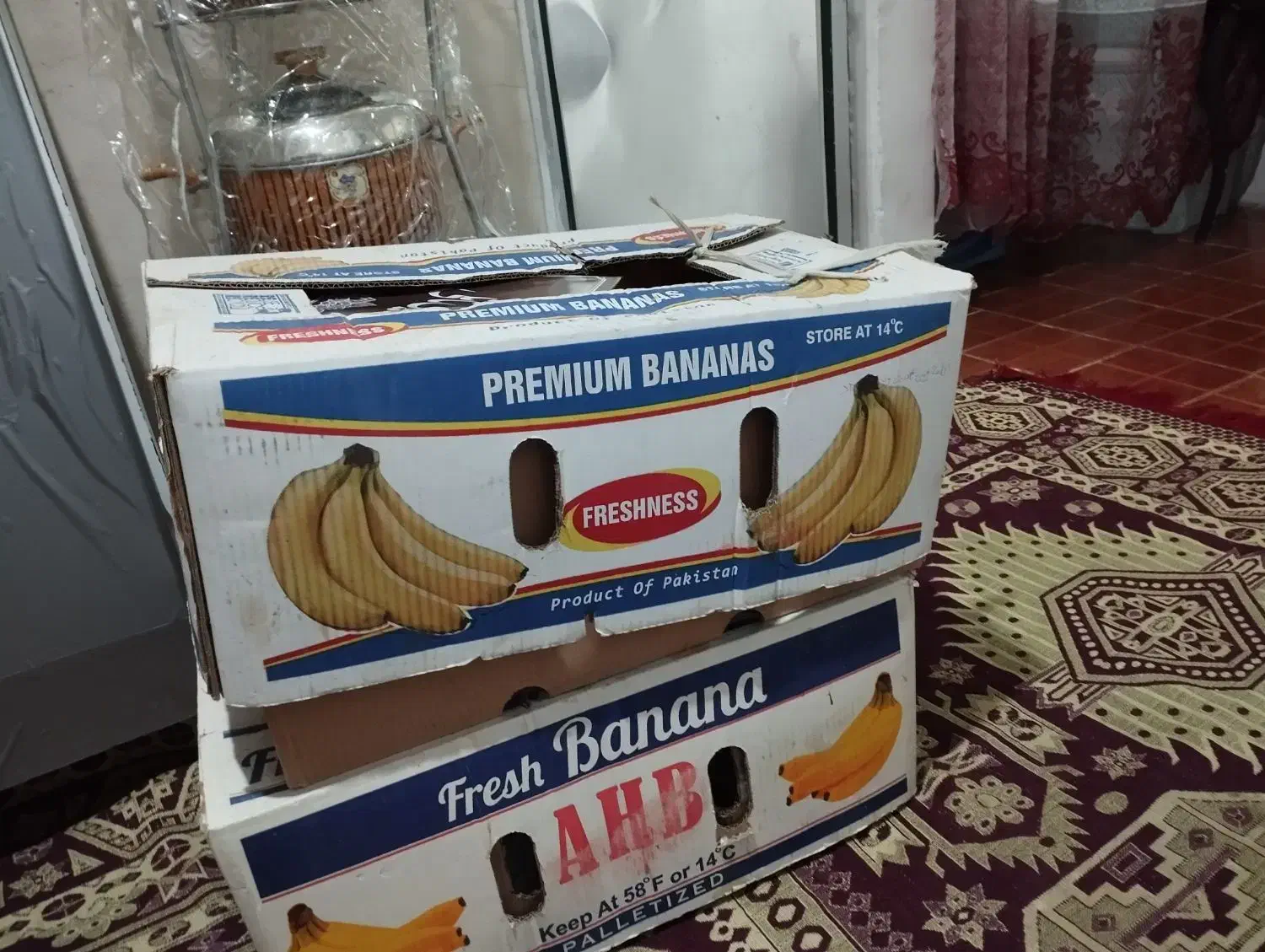 موکت سبز|موکت|مشهد, پنجتن|دیوار