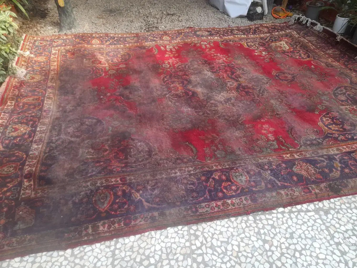 فرش دست باف|فرش|چمستان, |دیوار