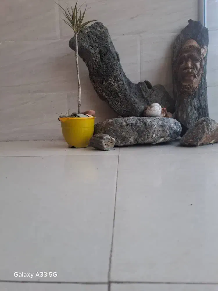 فروش سنگ|کلکسیون و سرگرمی|فومن, |دیوار