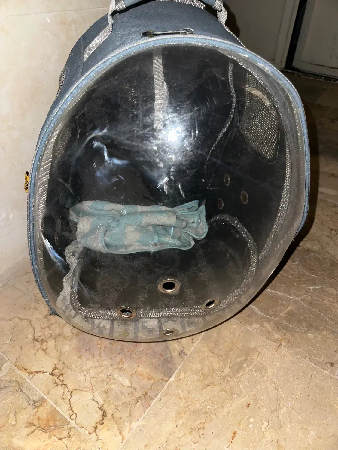 کیف سگ|لوازم جانبی حیوانات|ساری, |دیوار