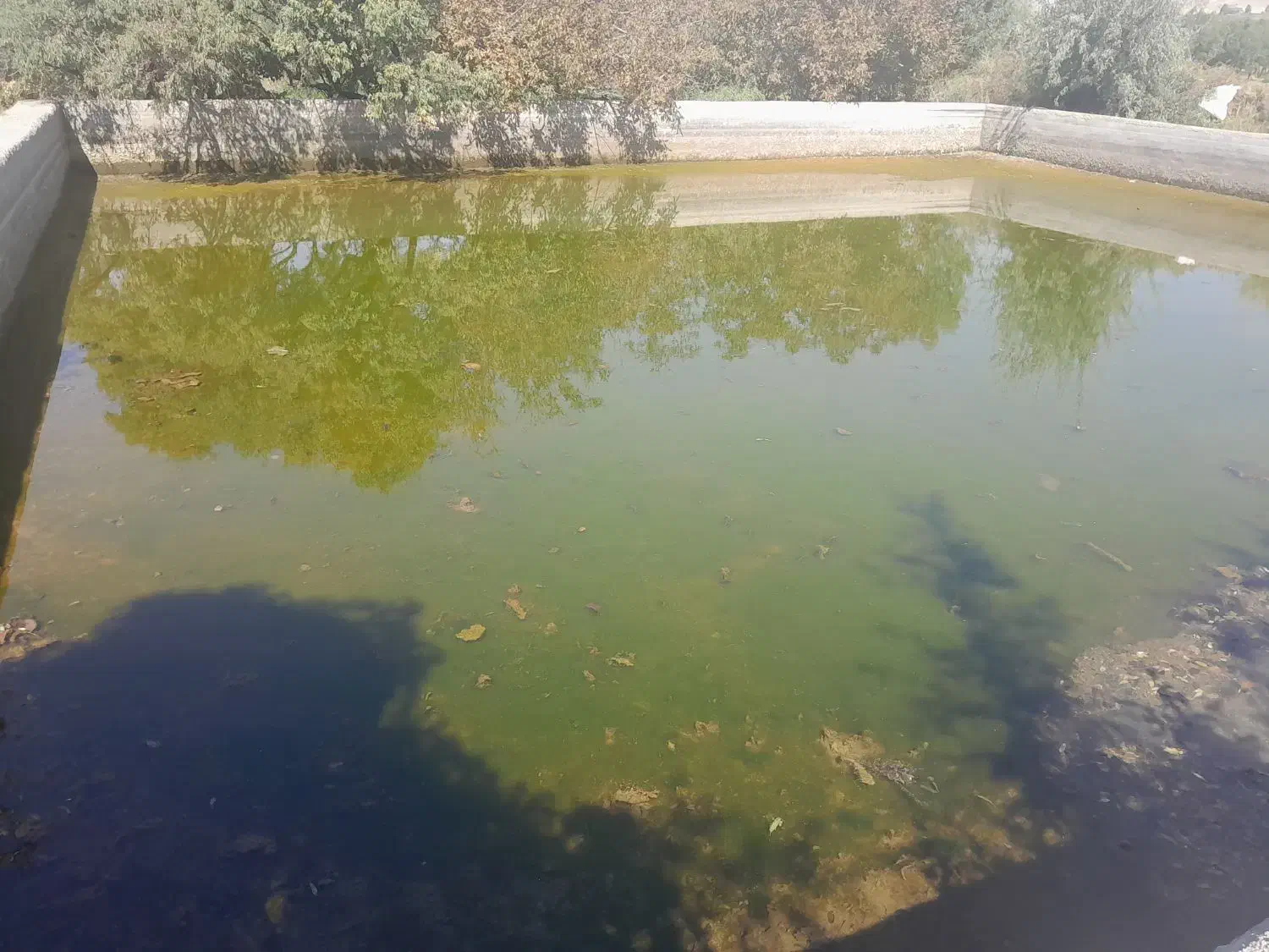 فروش زمین ویلایی|فروش خانه و ویلا|ممقان, |دیوار