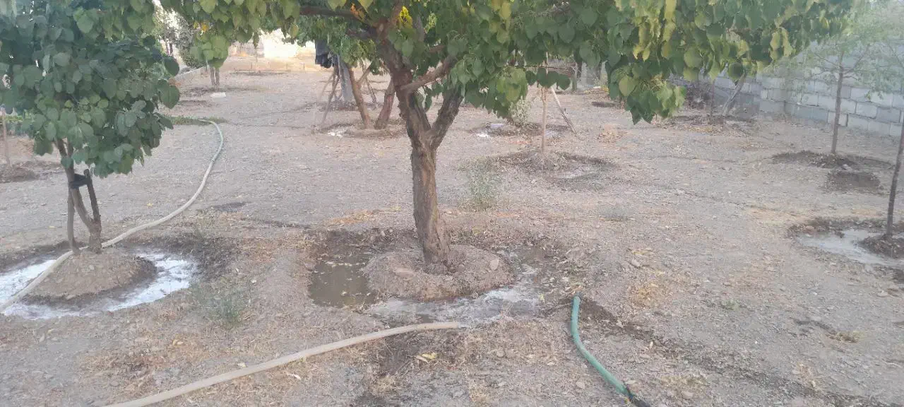 باغ در محدود کاهو|فروش زمین و ملک کلنگی|گلمکان, |دیوار