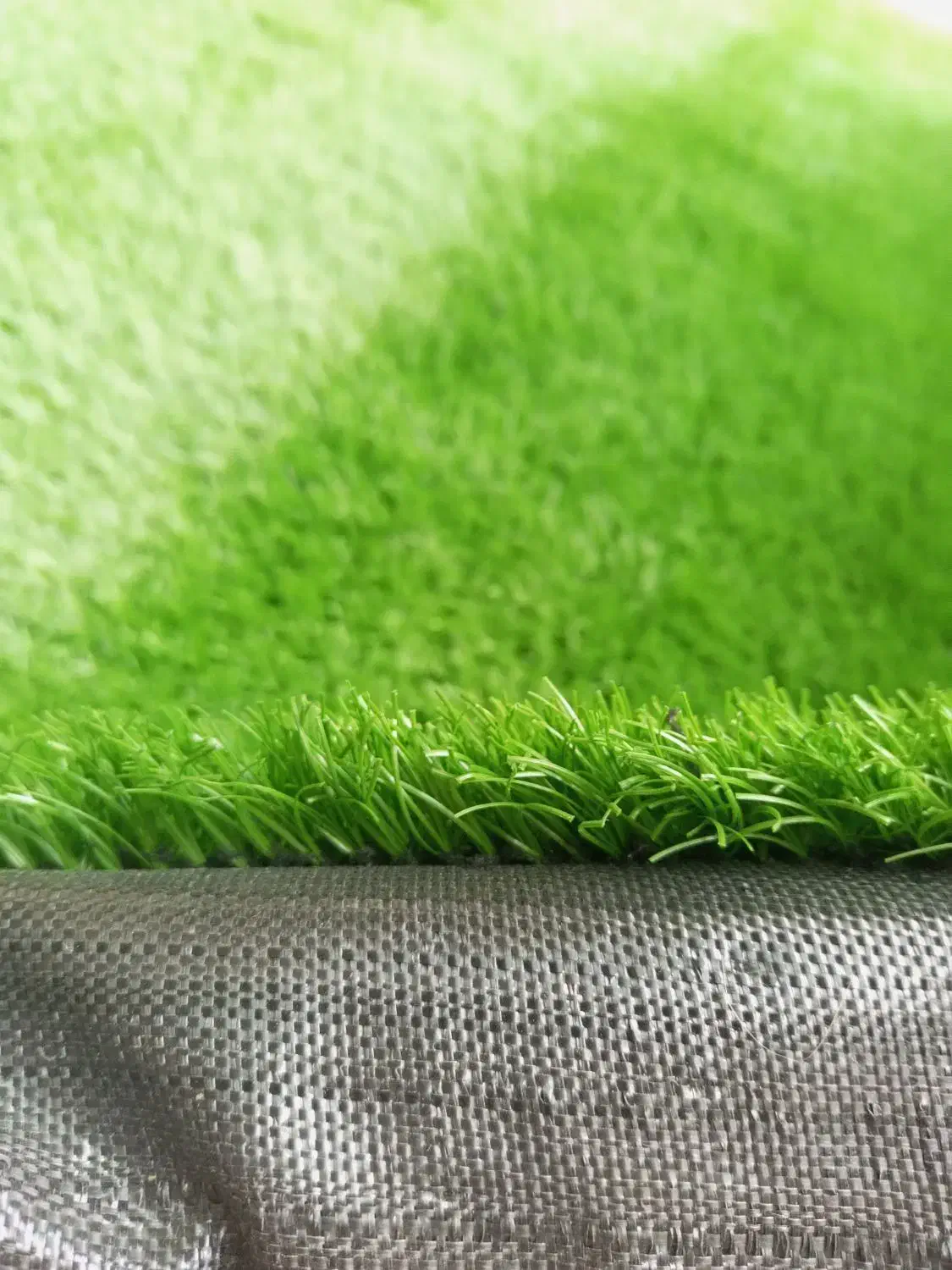 چمن مصنوعی تراکم بالا|گل مصنوعی|مشهد, رضاشهر|دیوار